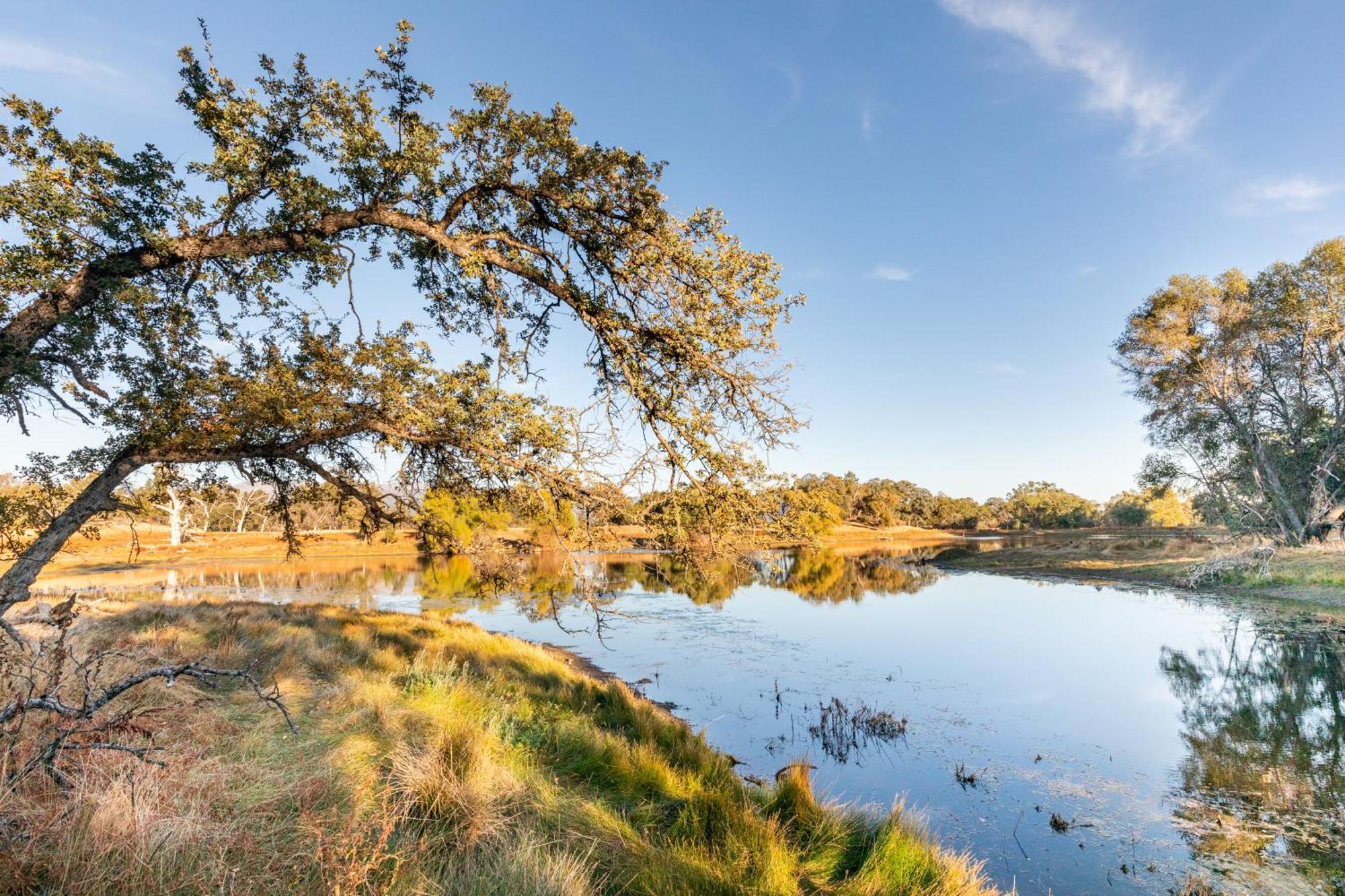 Rolling Oaks Ranch - 200 Acres Of Lakeside Beauty & Countryside Serenity Mariposa Eksteriør billede
