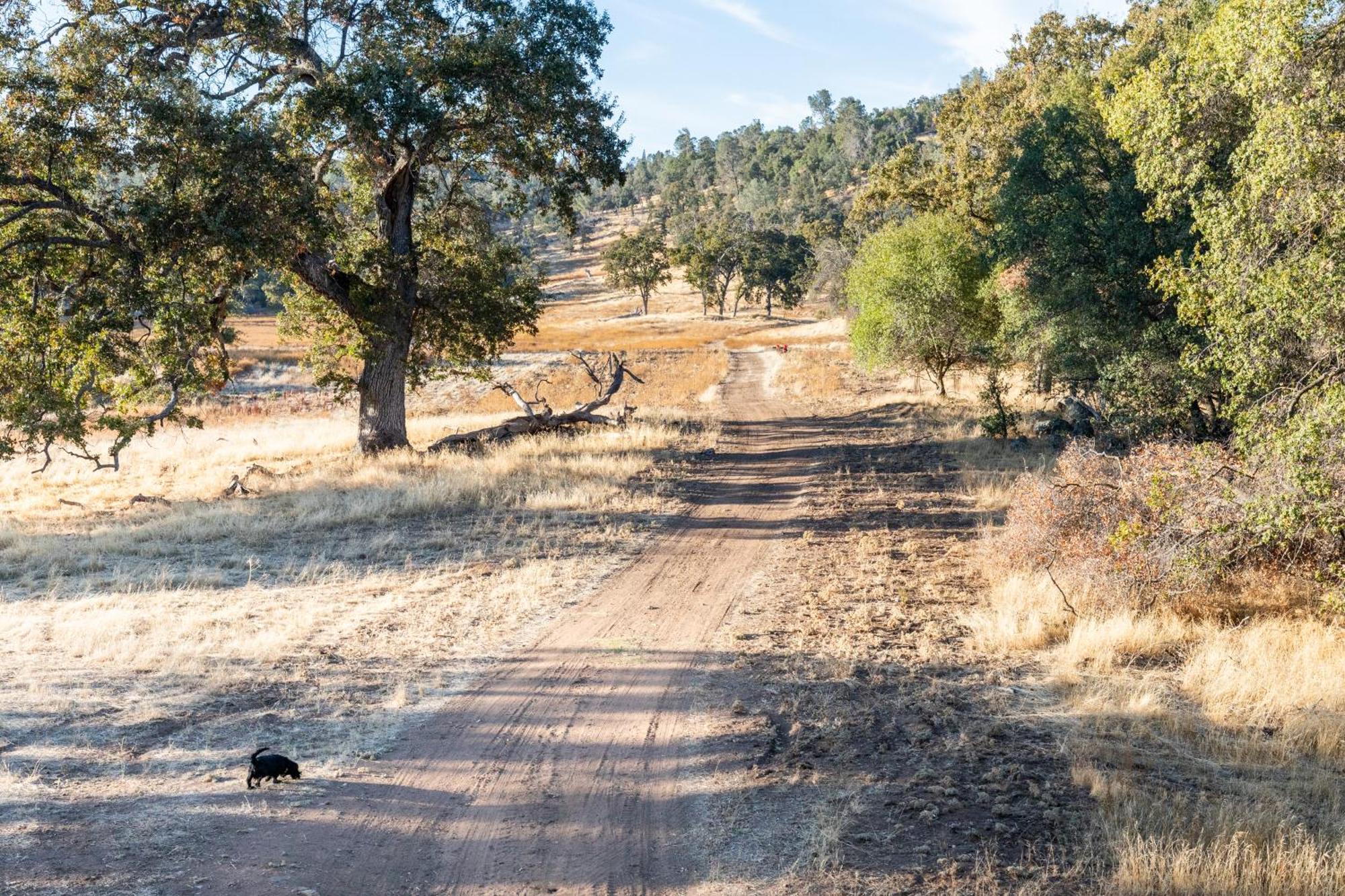 Rolling Oaks Ranch - 200 Acres Of Lakeside Beauty & Countryside Serenity Mariposa Eksteriør billede