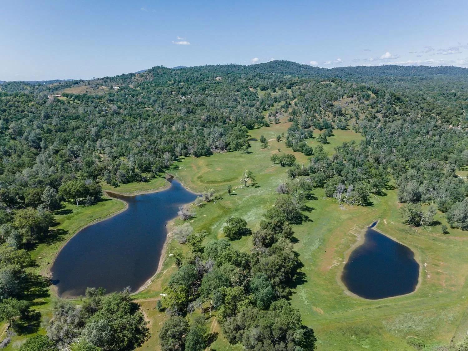 Rolling Oaks Ranch - 200 Acres Of Lakeside Beauty & Countryside Serenity Mariposa Eksteriør billede