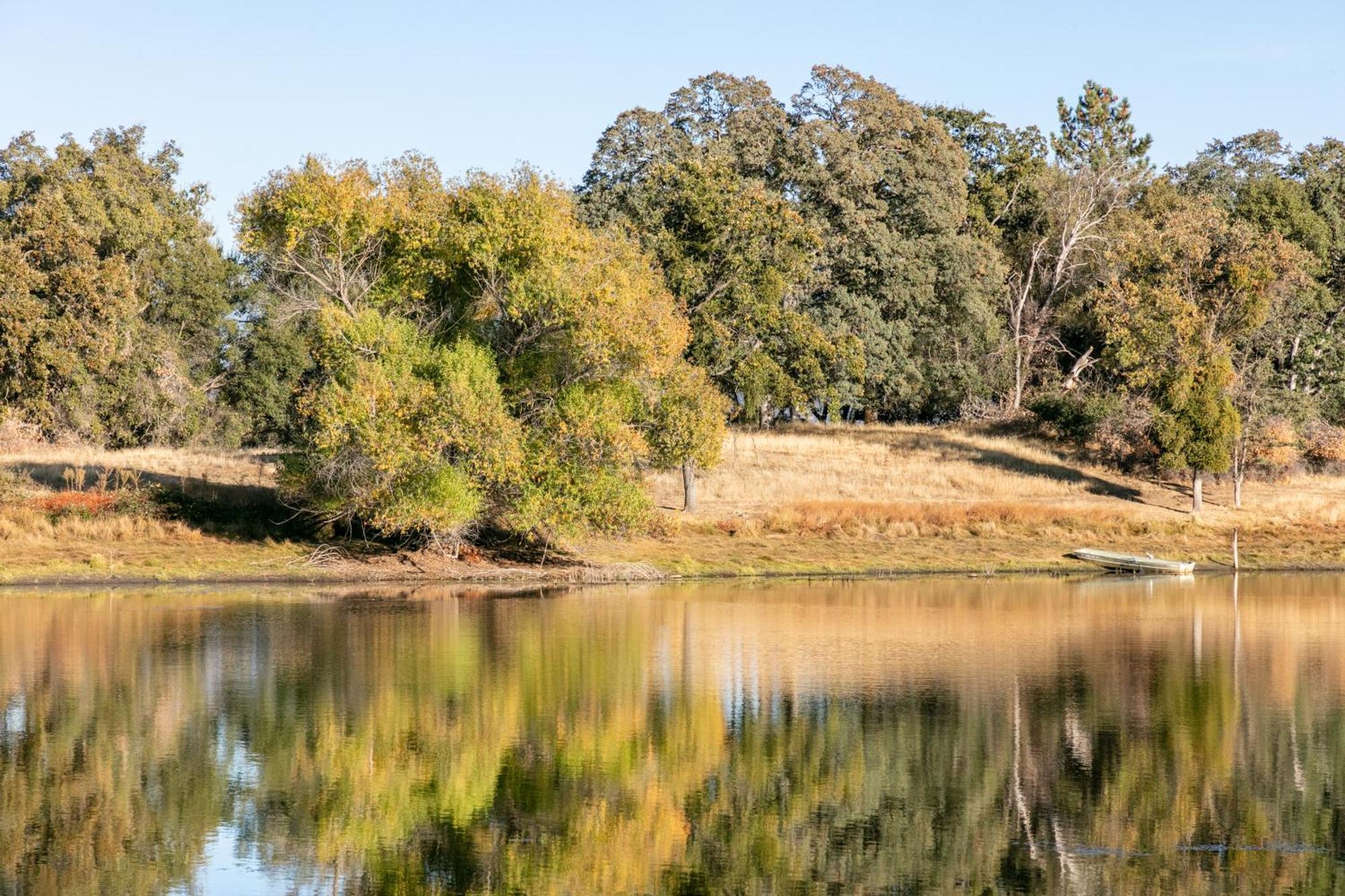 Rolling Oaks Ranch - 200 Acres Of Lakeside Beauty & Countryside Serenity Mariposa Eksteriør billede