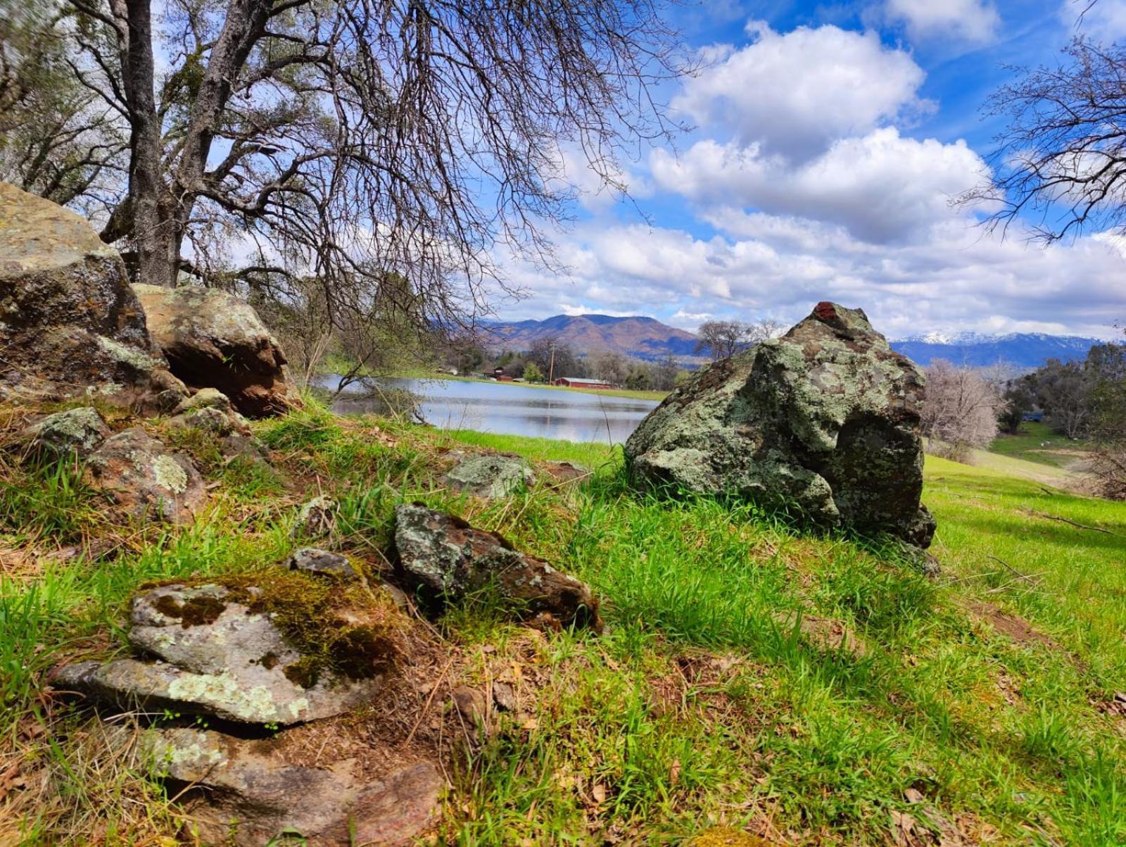 Rolling Oaks Ranch - 200 Acres Of Lakeside Beauty & Countryside Serenity Mariposa Eksteriør billede