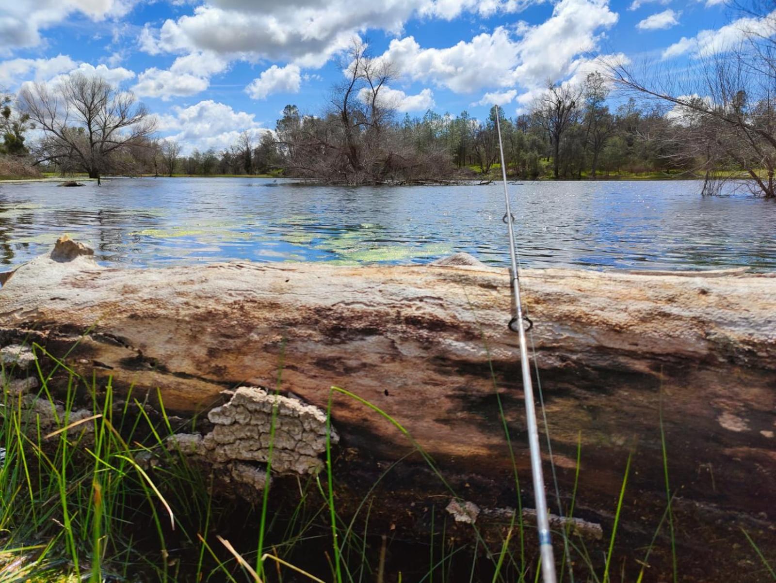 Rolling Oaks Ranch - 200 Acres Of Lakeside Beauty & Countryside Serenity Mariposa Eksteriør billede