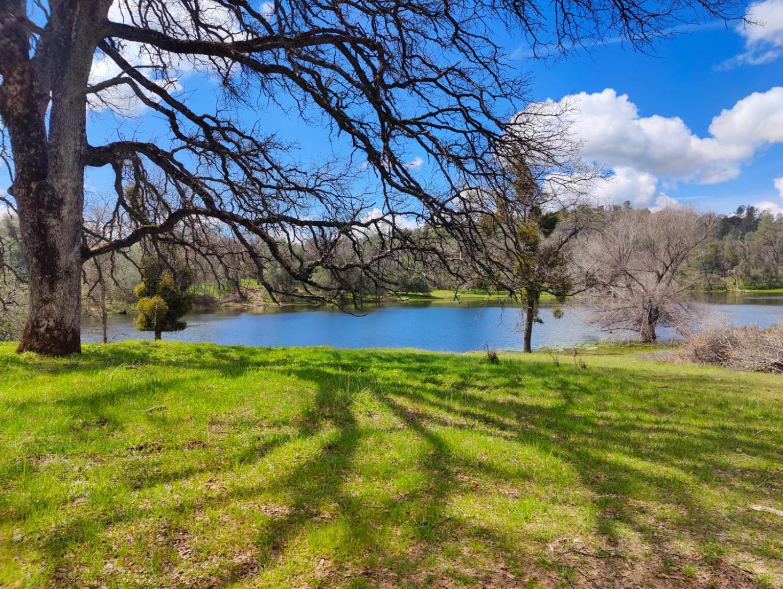 Rolling Oaks Ranch - 200 Acres Of Lakeside Beauty & Countryside Serenity Mariposa Eksteriør billede